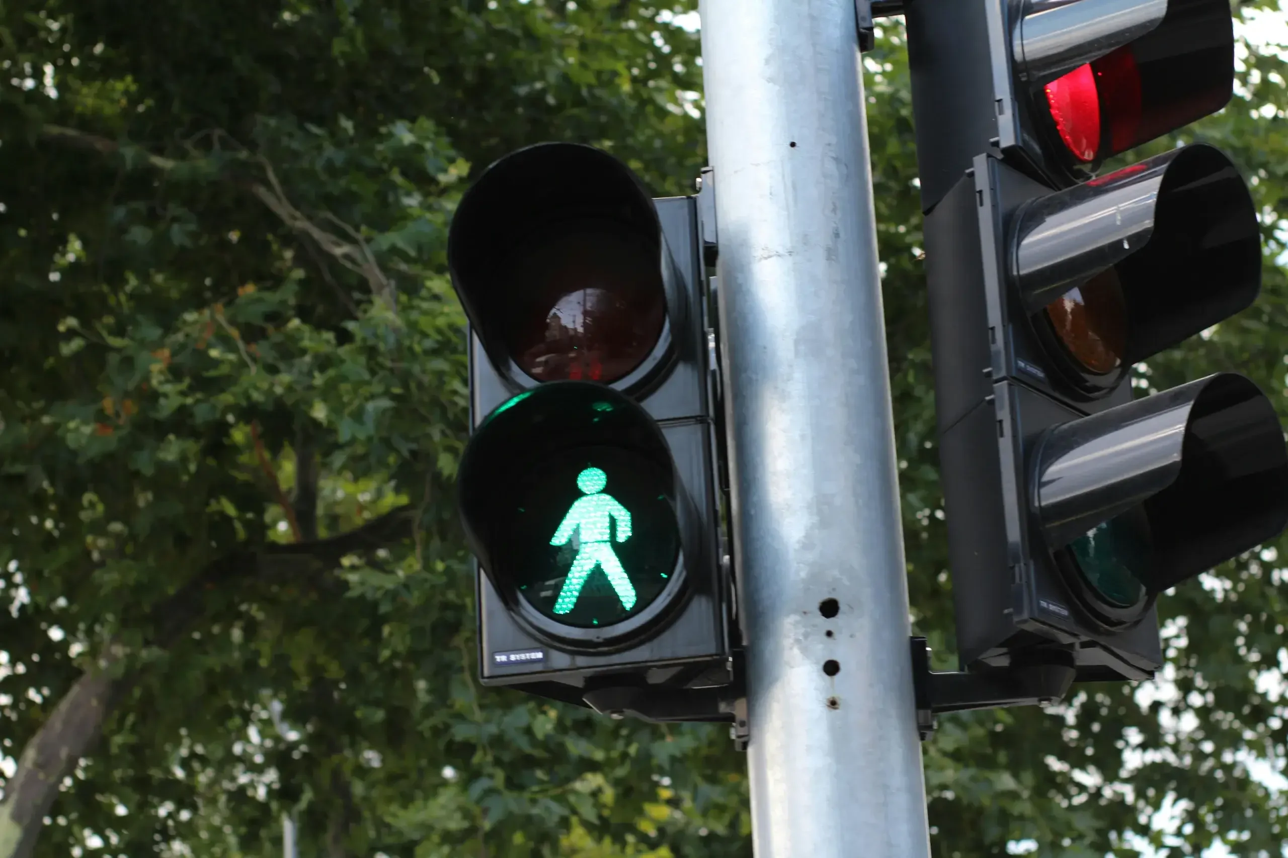 Sygnalizator zielony dla pieszych na skrzyżowaniu